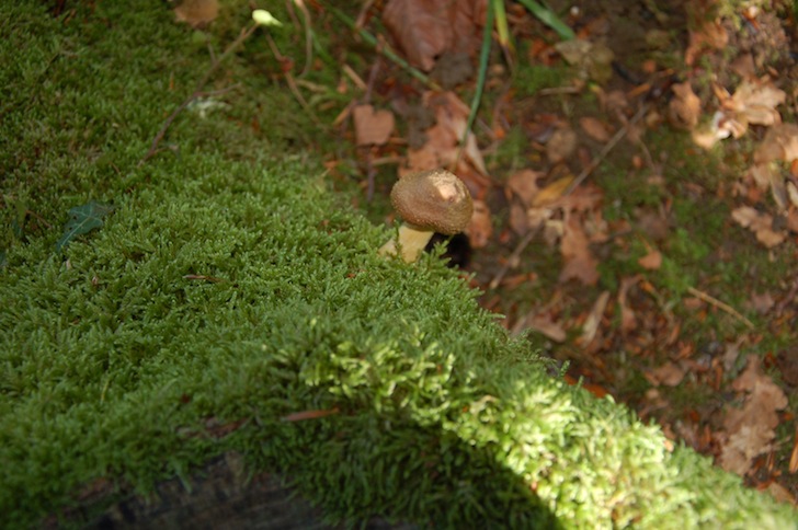 Catéchisme | Camp du Cycle II Prêles 2010